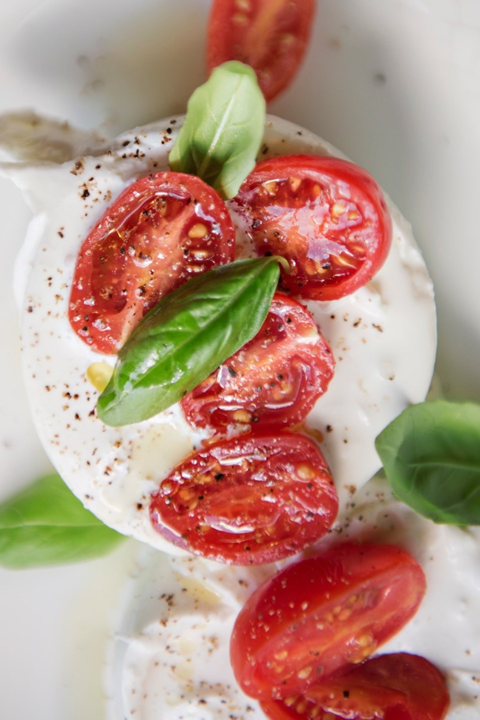 Burrata