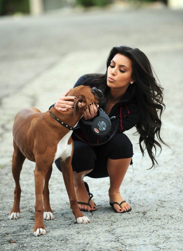 ŞİMDİ DE KÖPEĞİNE ESTETİK YAPTIRDI