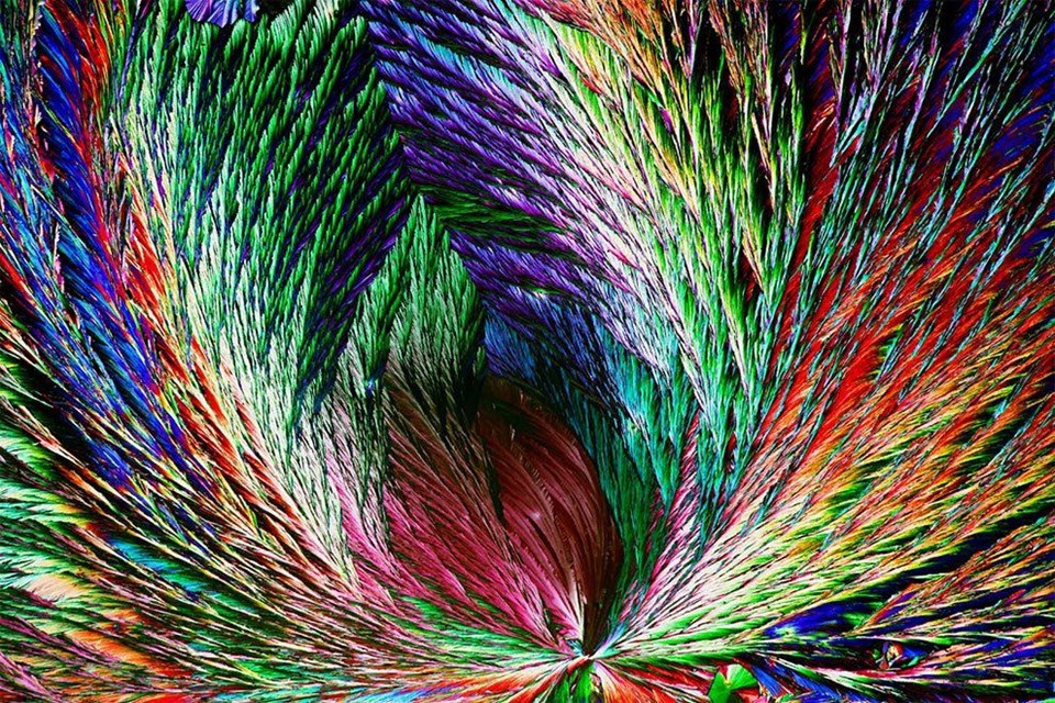 DOĞADAKİ DESENLER YARIŞMASININ KAZANANLARI BELLİ OLDU