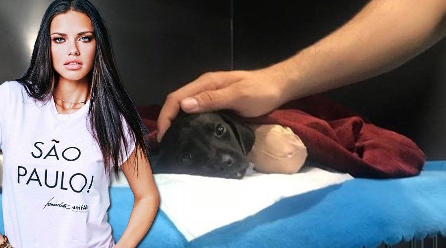 "BU OLAY TÜRKİYE'DE OLDU"