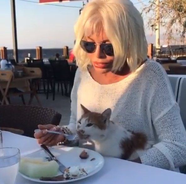 AJDA PEKKAN'IN KEDİ SEVGİSİ