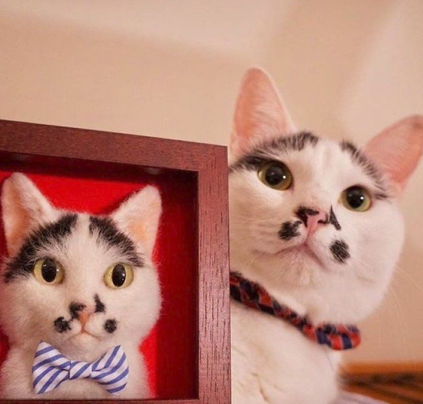 JAPON SANATÇIDAN 3 BOYUTLU KEDİ PORTRELERİ