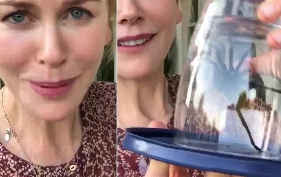 NICOLE KIDMAN'IN HAVUZUNDA TARANTULA