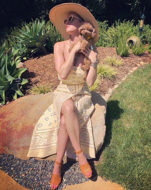 KATY PERRY'NİN KÖPEĞİ SOSYAL MEDYAYI SALLADI