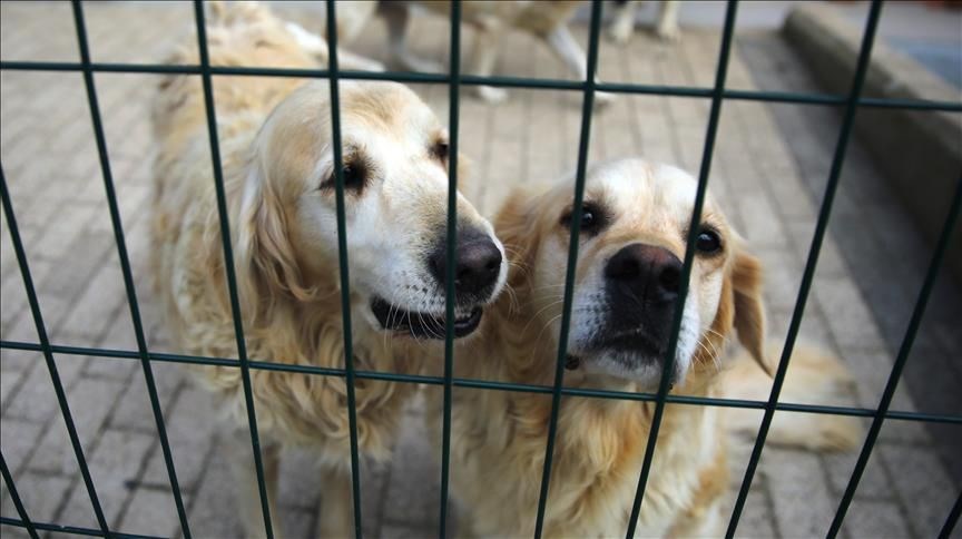 ÖMÜRLÜK DOSTLARINI BEKLİYORLAR