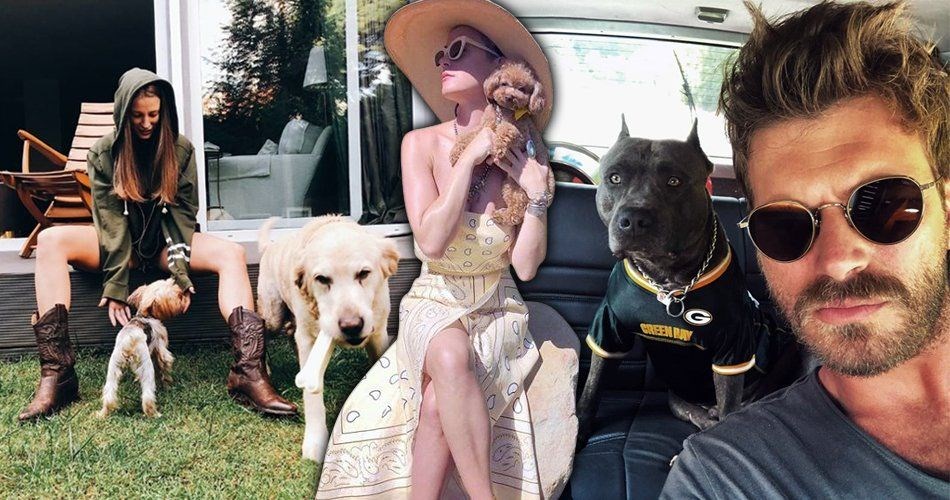 ÜNLÜLER VE SEVİMLİ DOSTLARI (HAYVANLARI KORUMA GÜNÜ)