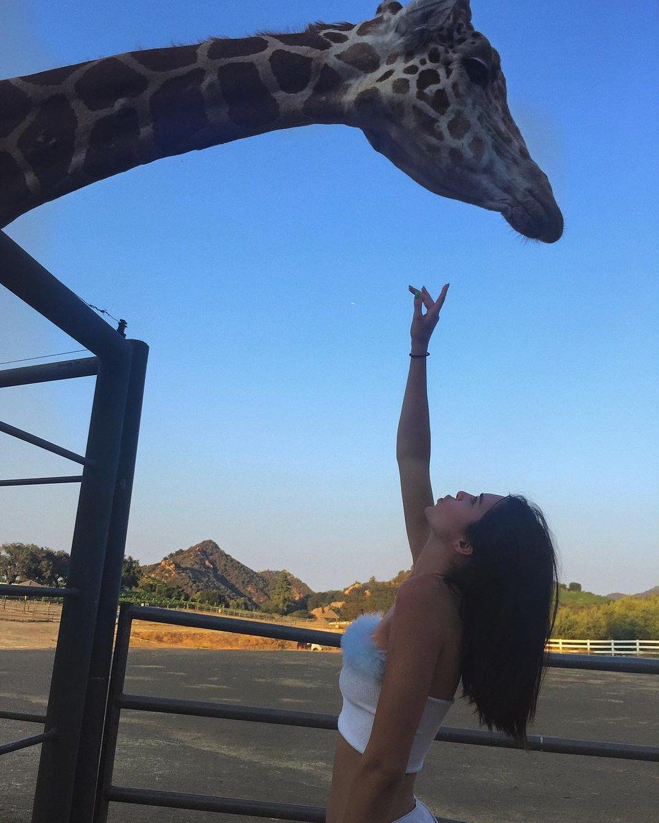 KENDALL JENNER'DAN ZÜRAFA POZU