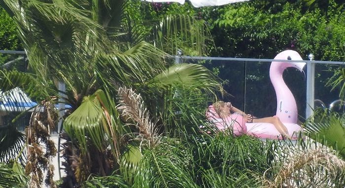 SILA'NIN FİLAMİNGO DENİZ YATAĞI KEYFİ