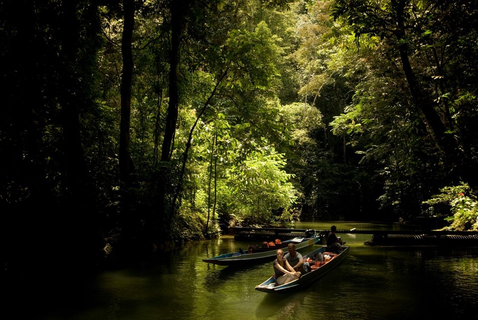 GUNUNG MULU MİLLİ PARKI