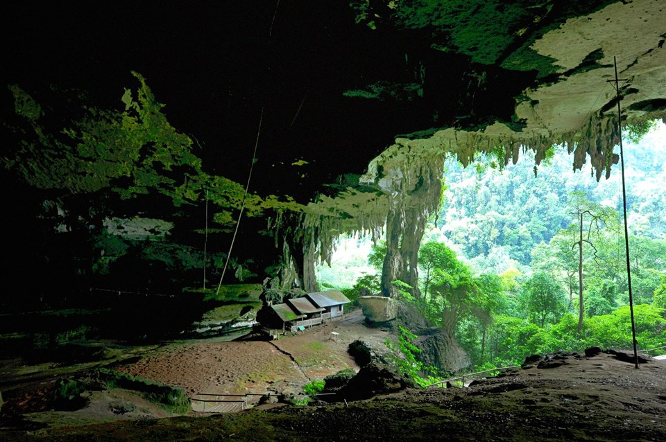 SARAWAK AÇIKLIĞI