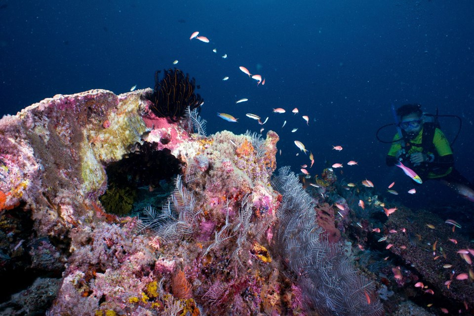 SIPADAN ADASI