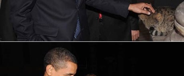 Obama, Ayasofya'da kedi sevdi