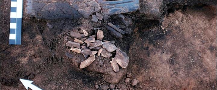 Rusya'nın Novosibirsk şehrindeki kazı alanında...