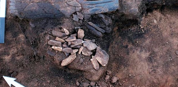 Rusya'nın Novosibirsk şehrindeki kazı alanında...