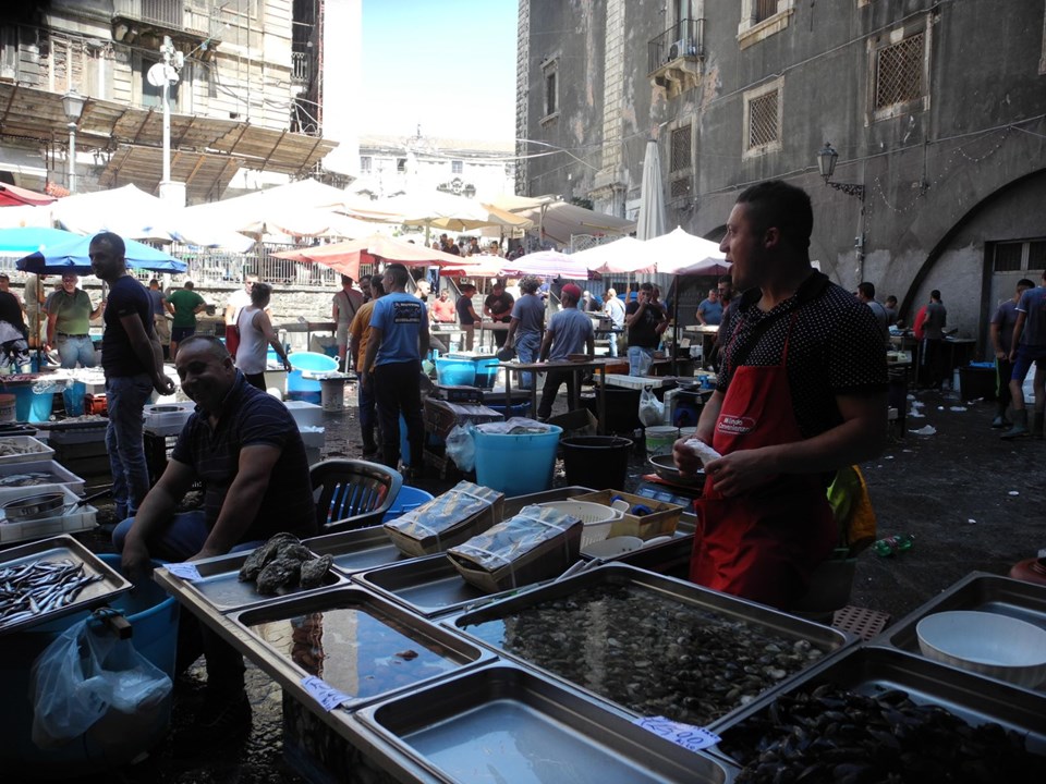 BAŞ DÖNDÜREN SEBZE MEYVE BAHÇELERİ