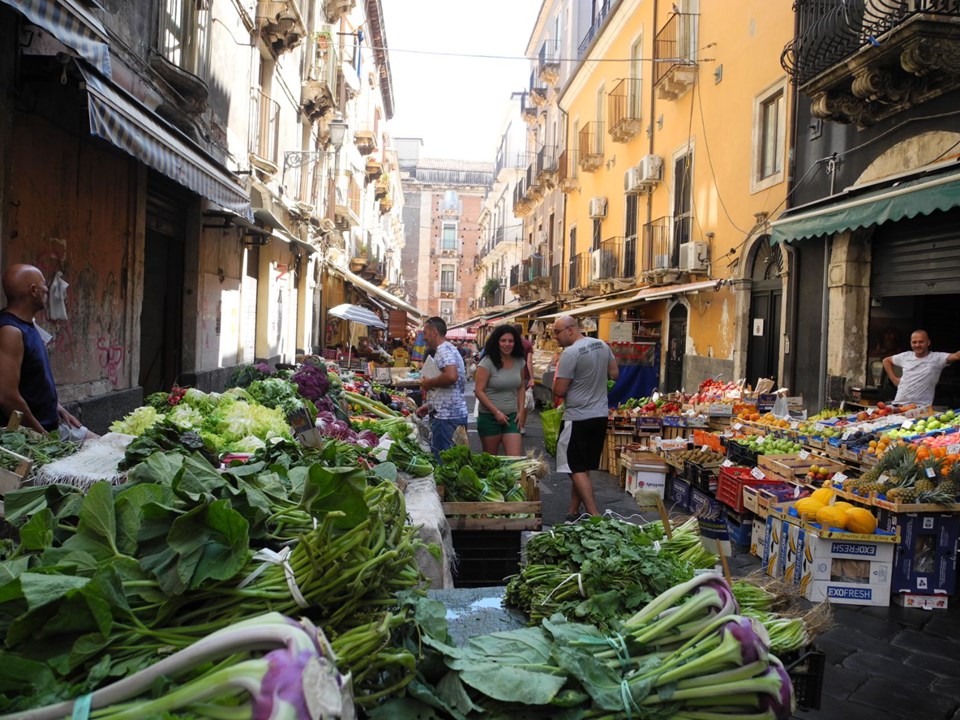 MUTFAKTA BAŞROL YEREL ÜRÜNLERİN
