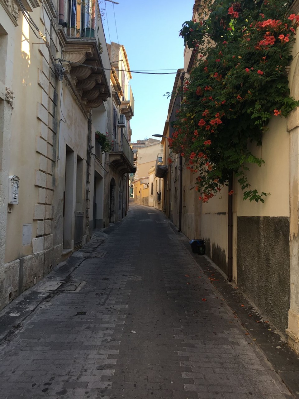 YASEMİN KOKULU NOTO