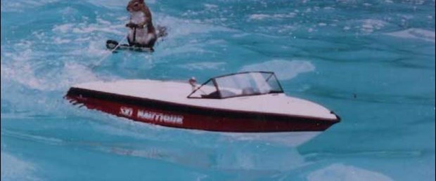 Yavru suaygırı ziyaretçilere gösterildi