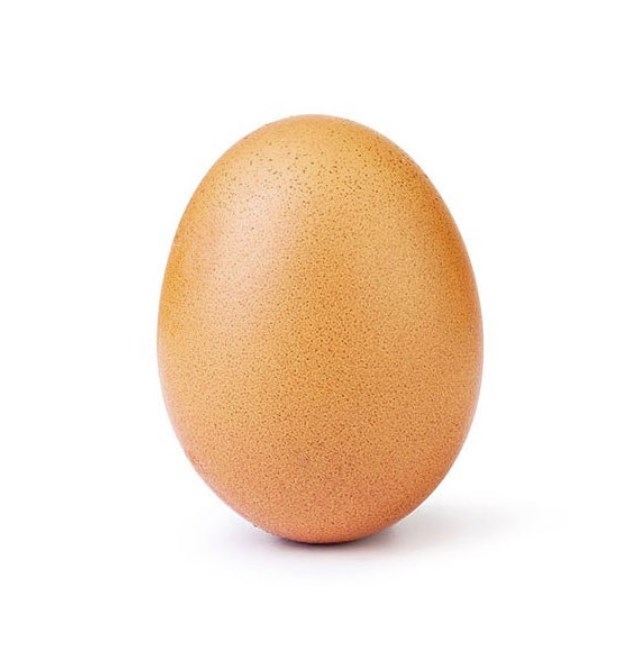 1. World record egg