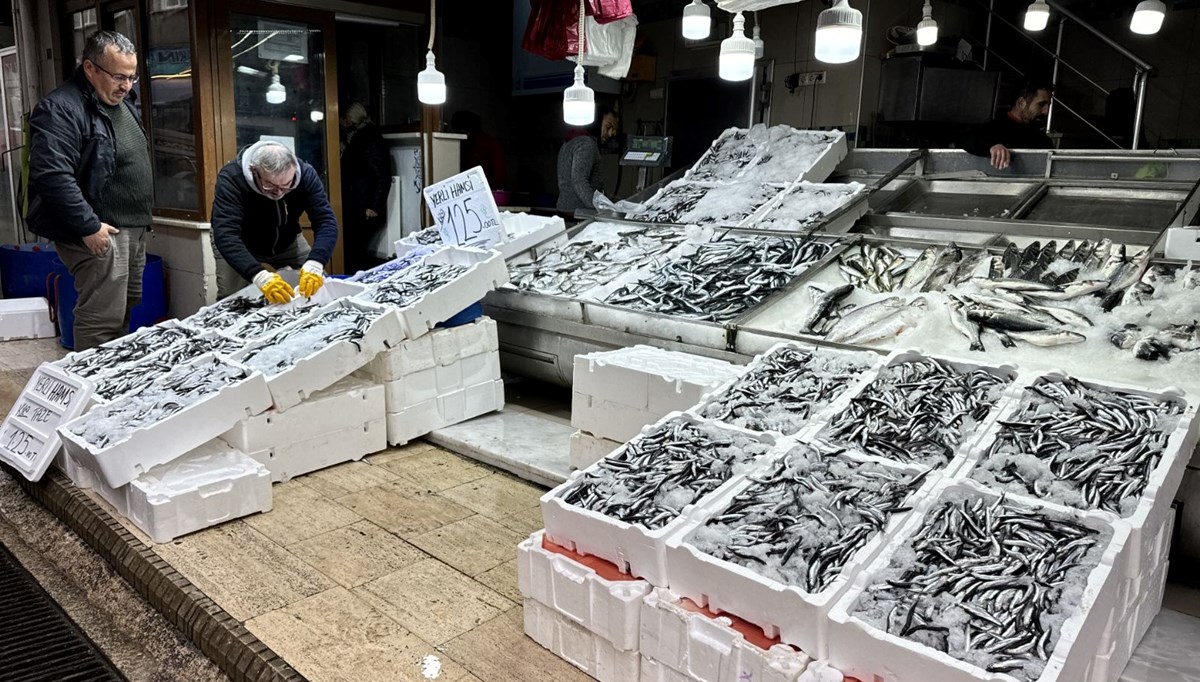 Hamsinin kulağına kar suyu kaçtı Hamsinin kulağına kar suyu kaçtı