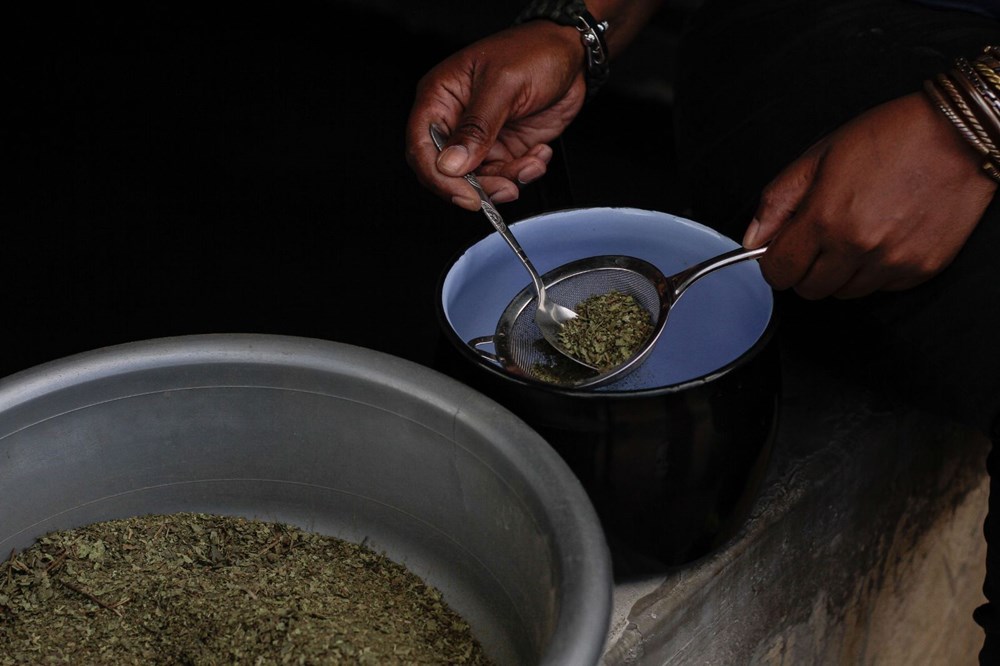 The plant that the African country hopes for, Zumbani: We would be dead if we didn't use it - 16