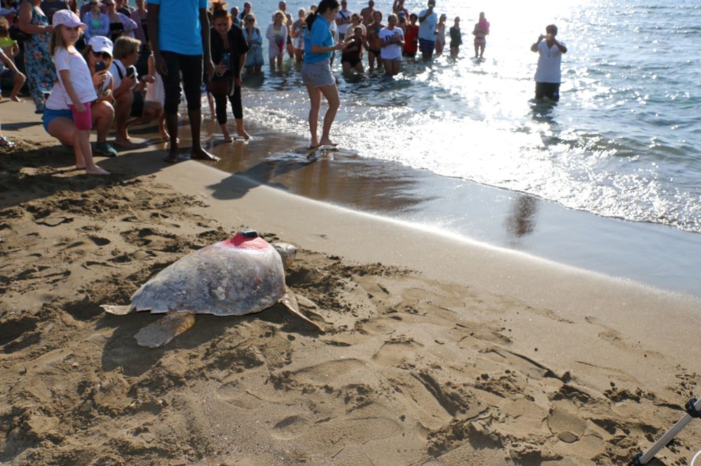 Caretta Tuba'nın sinyali kesildi - 1