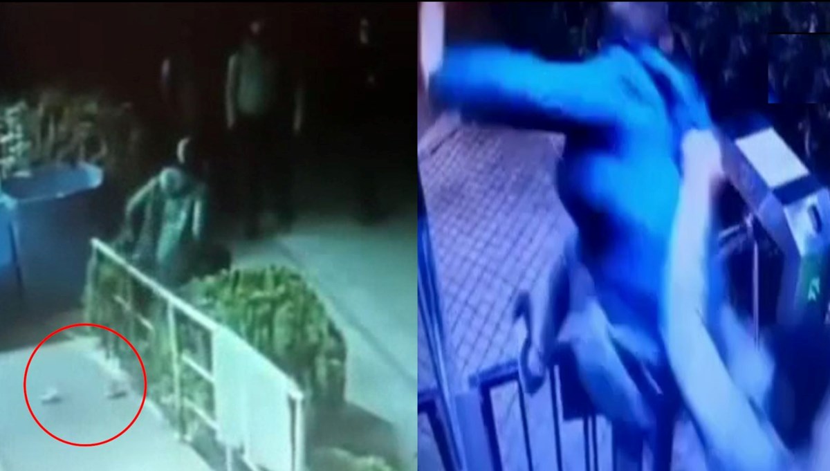 Zıplayarak kaçan hırsızı havada yakaladılar