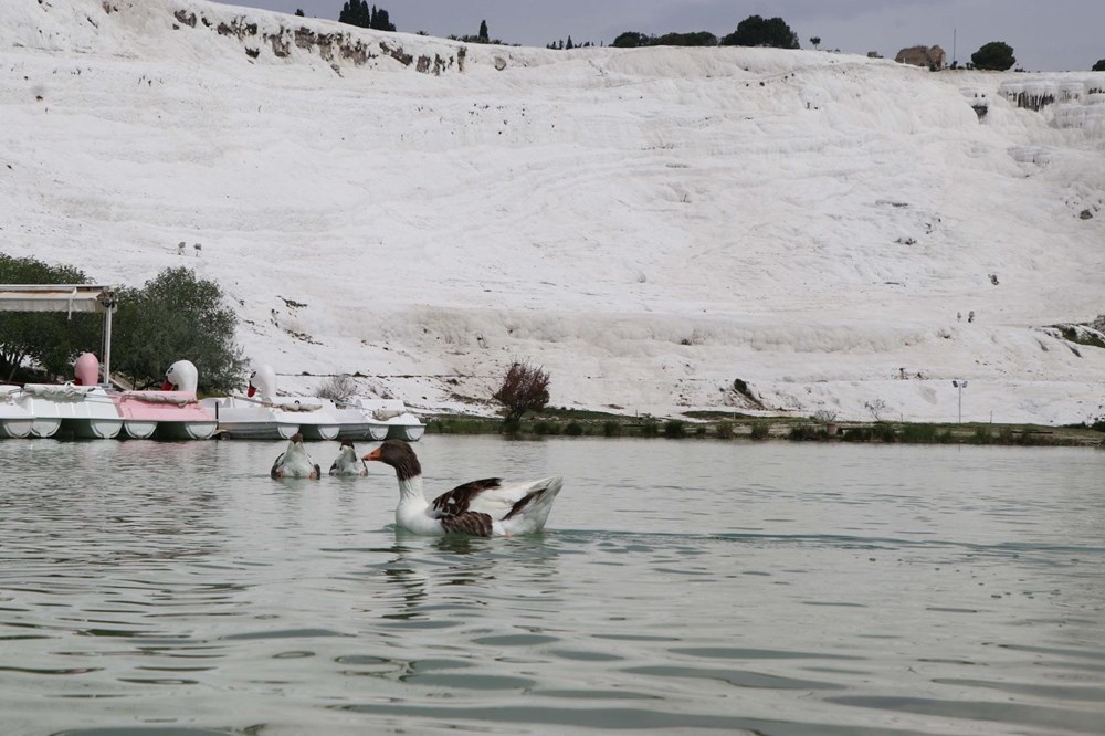 Pamukkale Travertenleri artık daha beyaz NTV
