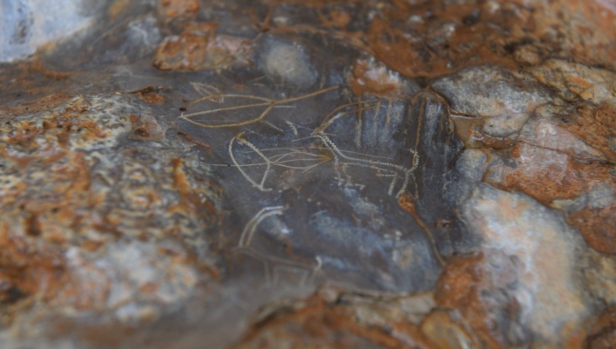 Mersin’de bir mağarada bulunan 8 bin yıllık kaya resimleri koruma altına alınıyor