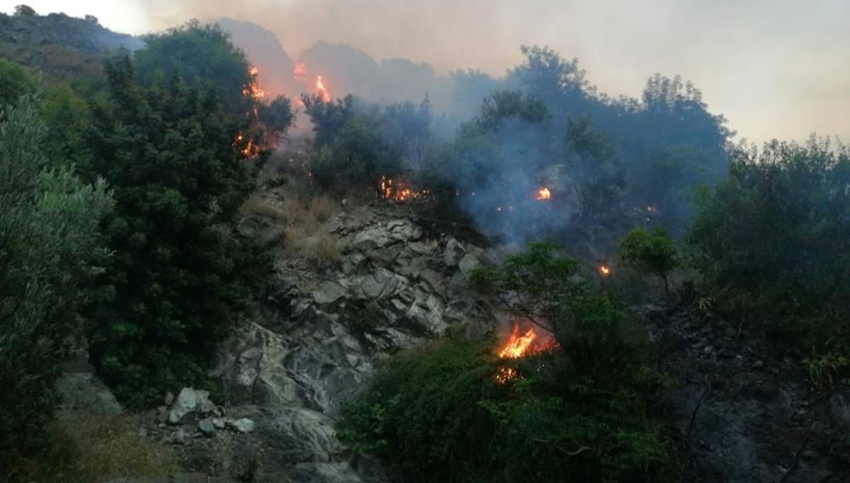 Hatay'da zeytinlik yangını Hatay'da zeytinlik yangını