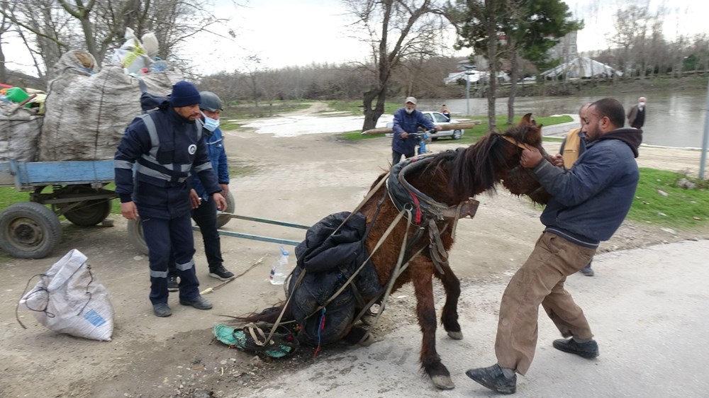 Edirne'de tepki çeken görüntü: Aşırı yükten yere yığılan ata göz göre göre işkence - 8