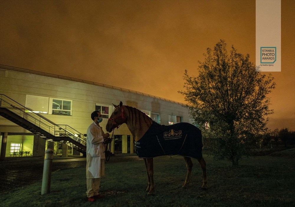Istanbul Photo Awards 2021 kazananları açıklandı - 76
