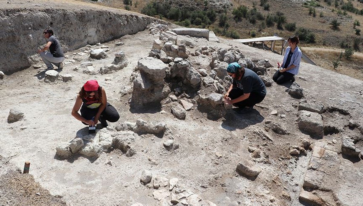 3500 yıllık üzüm çekirdeği kalıntısı bulundu 3500 yıllık üzüm çekirdeği kalıntısı bulundu
