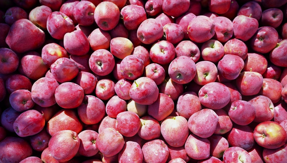 Ege'nin elma deposu: Üreticinin yüzünü güldürdü