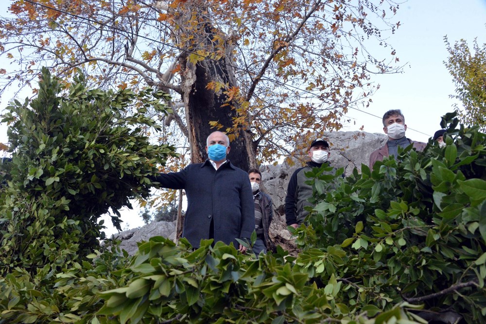 Dağlardan topladıkları defneden günlük 500 lira kazanıyorlar - 11