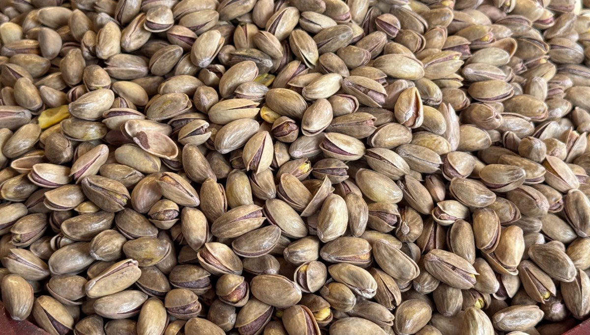 60 milyon dolara yakın fıstık ihracatı 60 milyon dolara yakın fıstık ihracatı