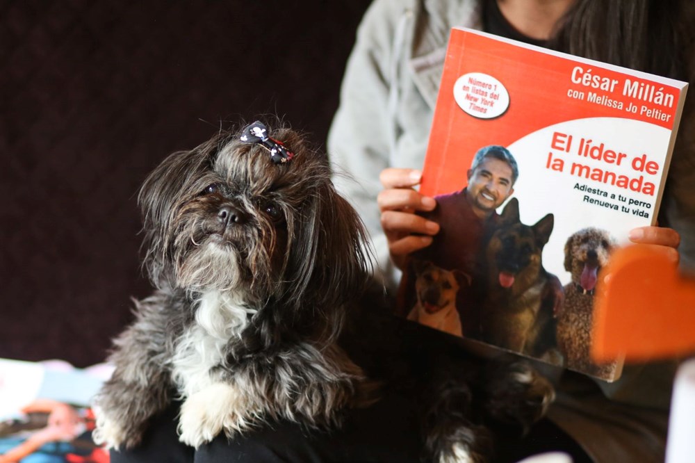 Dünyanın ilk köpek restoranı Bolivya'da açıldı - 9