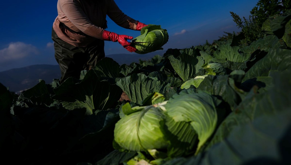 Kışlık sebze tezgaha iki hafta geç çıktı