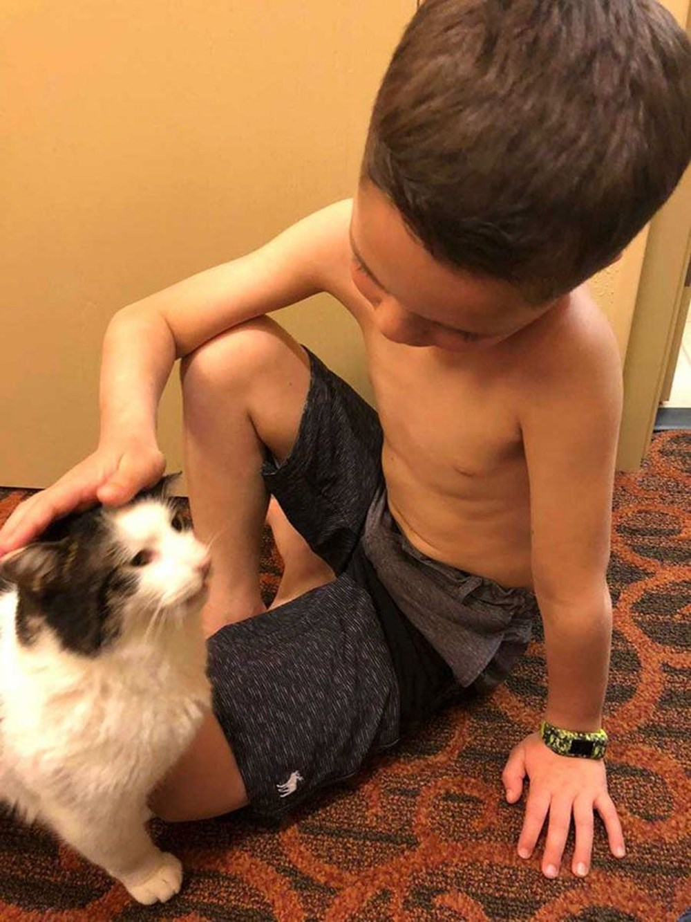 Petting boys. Мальчик с котом. Мальчик с котом фото. Мальчик и кот с разными глазами.