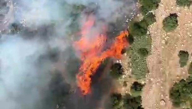 A forest fireplace was introduced beneath management in two areas – Final Minute Türkiye Information