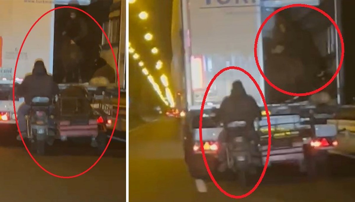 Koyun hırsızları koyunları bırakıp kaçmış