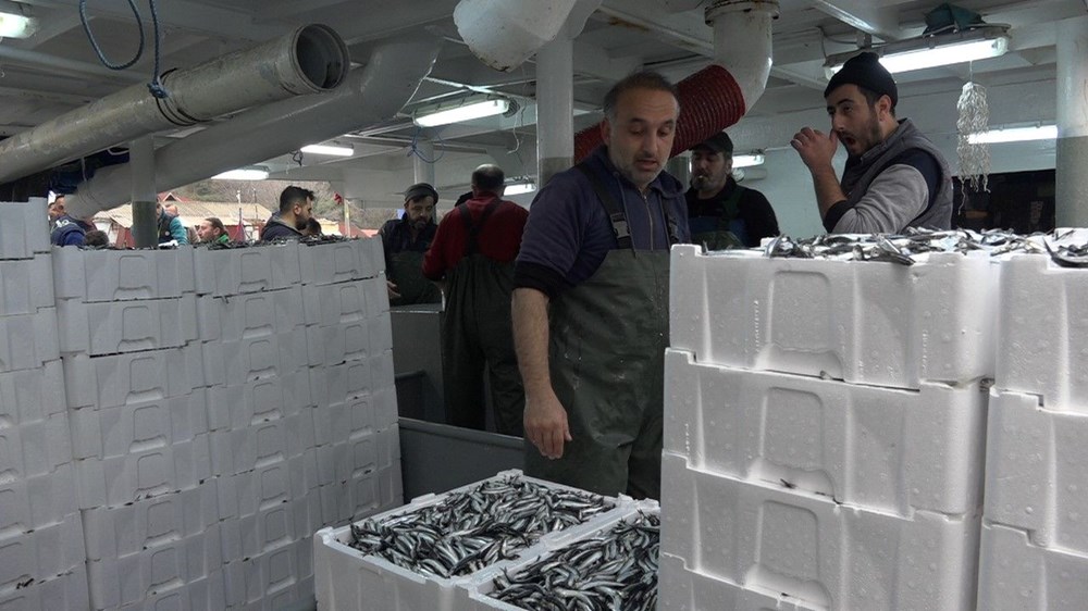 Bolluk tezgahlara yansıyacak: Kasalar dolusu hamsiyle döndüler - 4