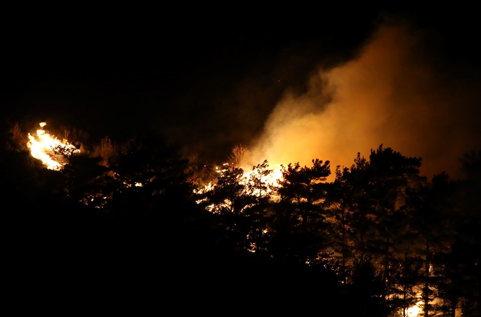 Çanakkale'nin Bayramiç ilçesindeki yangın; dün saat 15 sıralarında Dağoba köyü yakınlarında başladı.