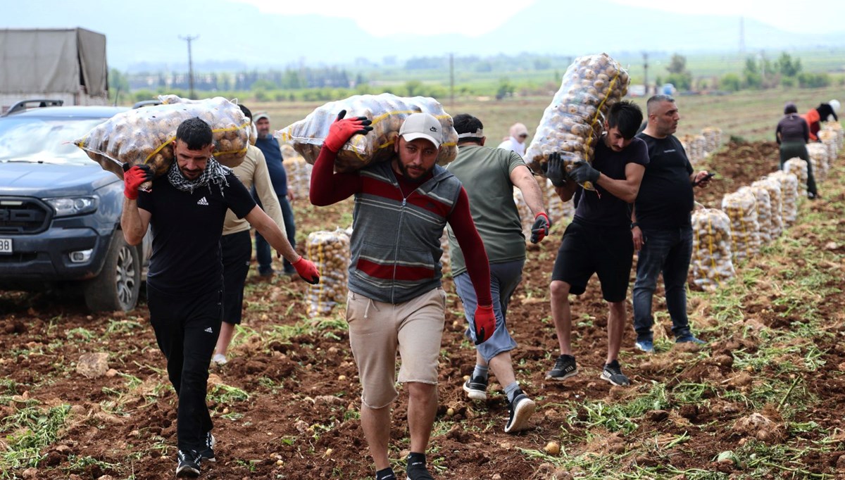 Aylık 90 bin TL kazanıyorlar, 23 gün çalışıyorlar: 