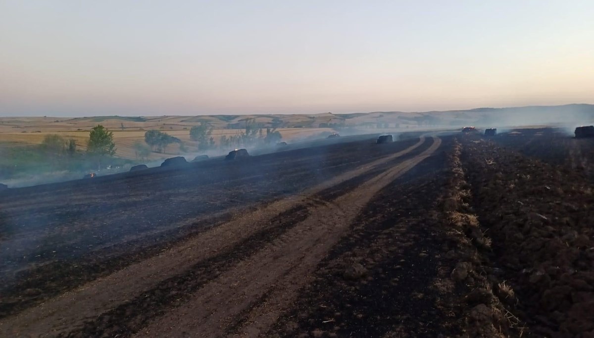 Tekirdağ'da anız yangını! Uzun uğraşlar sonucu söndürüldü