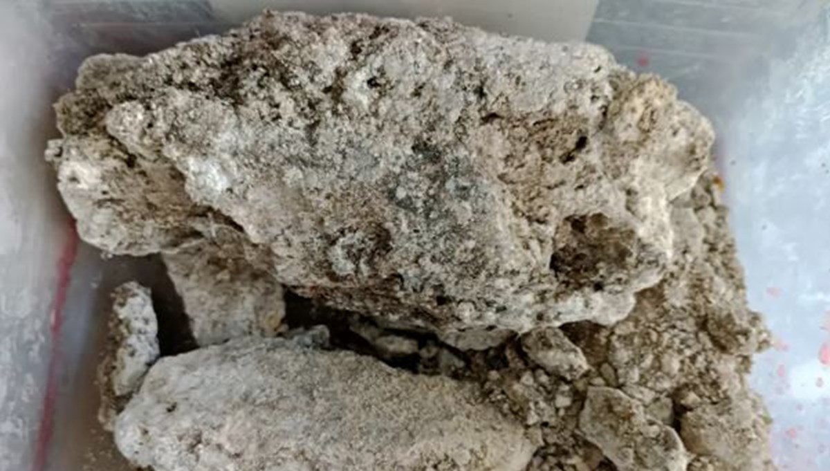 Balina kusmuğu neden pahalı? ''Yüzen altın'' olarak da biliniyor Balina kusmuğu neden pahalı? ''Yüzen altın'' olarak da biliniyor