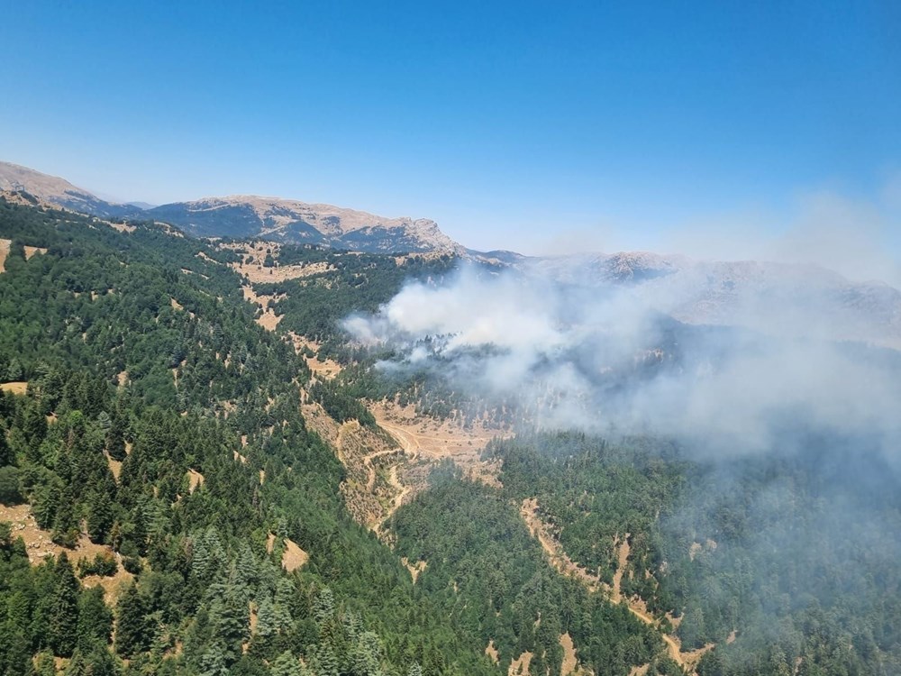 İzmir ve Kahramanmaraş'ta orman yangını - 5