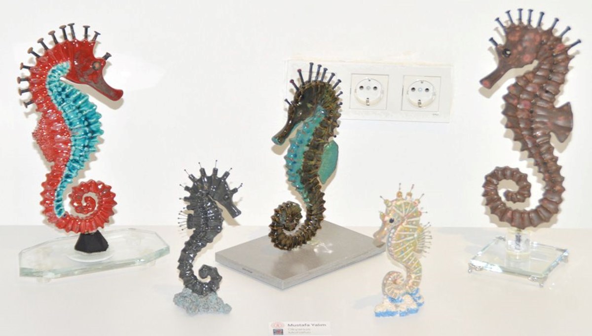 Sergide denizaltı dünyası