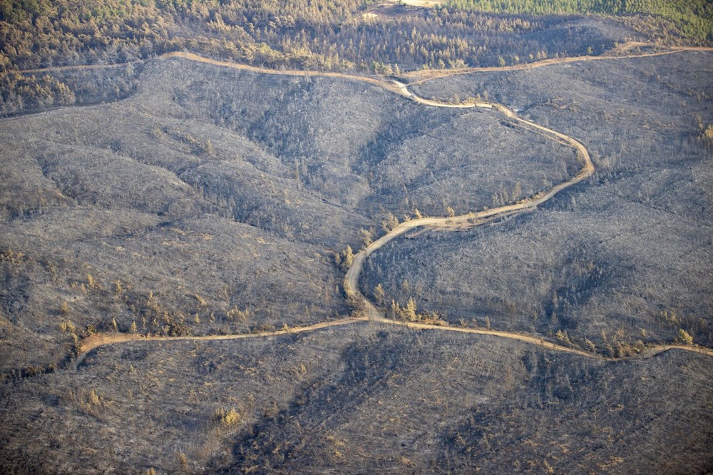 Marmaris'te orman yangını: Yanan alanlar havadan görüntülendi - 3
