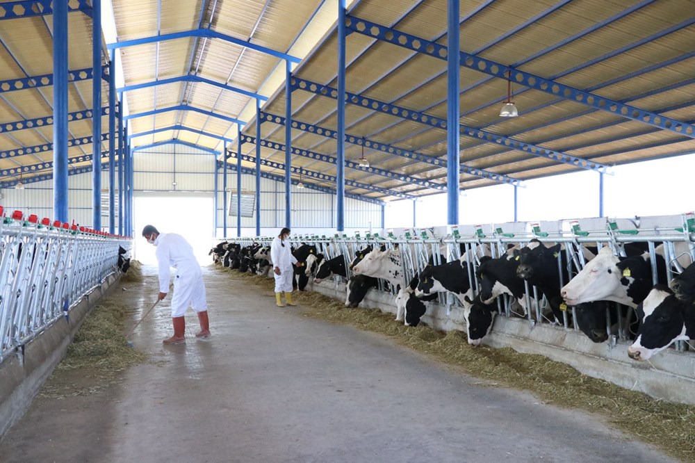 Niğde'de devlet desteğiyle 7,5 milyon liraya çiftlik kurdu - 14